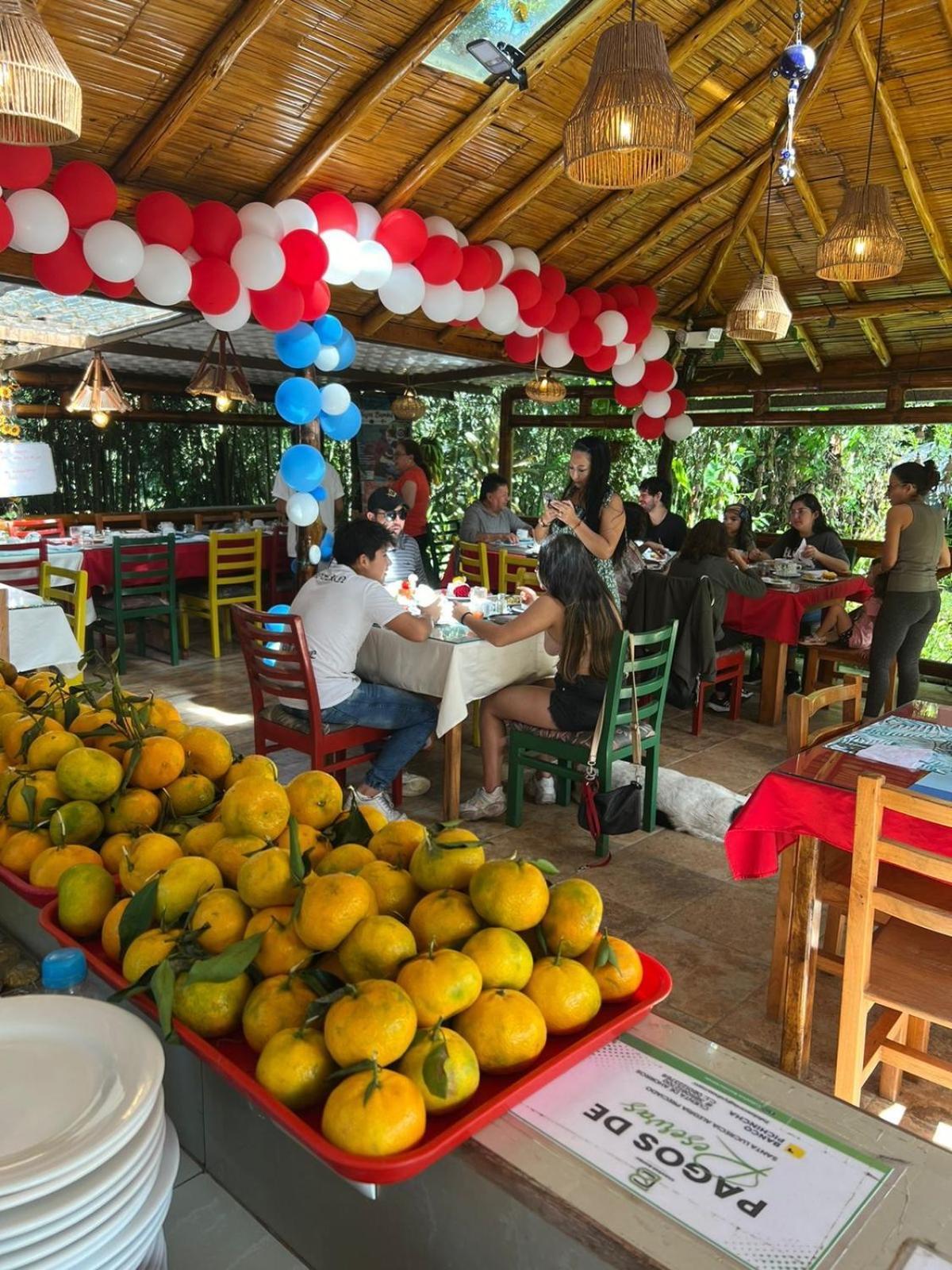 Cabanas Bambu Миндо Екстериор снимка